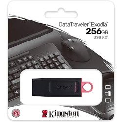 Pendrive Kingston DataTraveler Exodia Chiavetta USB 256GB - USB 3.2 Gen 1 DTX/256GB