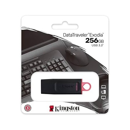 Pendrive Kingston DataTraveler Exodia Chiavetta USB 256GB - USB 3.2 Gen 1 DTX/256GB