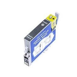 CARTUCCIA COMPATIBILE EPSON STYLUS PHOTO R1800 R800 Photo NERO T0541