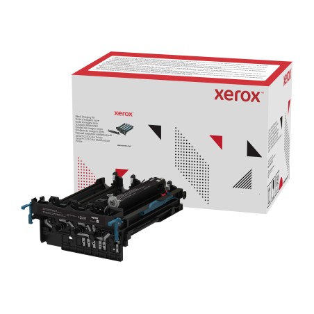 GRUPPO TAMBURO ORIGINALE XEROX C310 C315 013R00689 NERO 125K