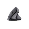 Mouse wireless ricaricabile Trust Bayo+  TR25146  2400dpi 6 pulsanti Colore nero