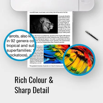 Confezione multipla compatibile con cartucce d'inchiostro a colori Epson 603 603XL, per Epson Expression Home XP-2100 XP-2105 XP-3100[70